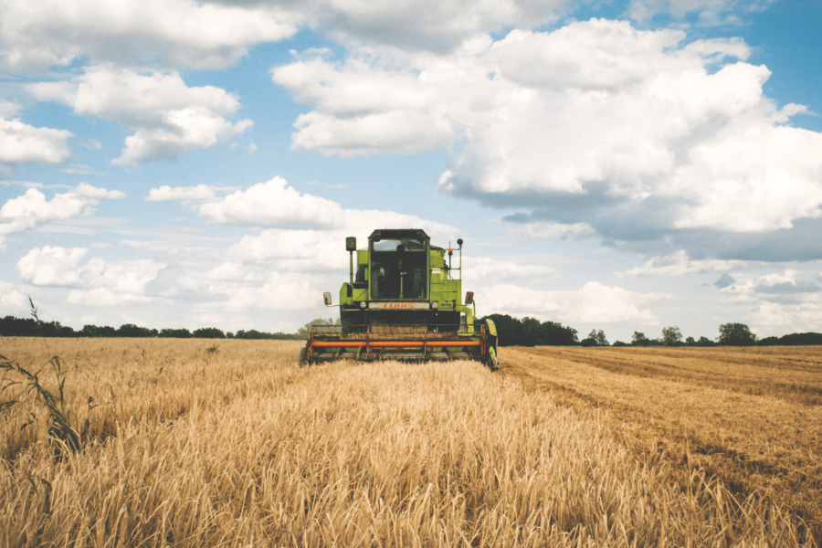 DOSSIER OMONDO  1 : L'AGRO-RÉVOLUTION OU LA FAMINE : LE DÉFI DE LA SOUVERAINETÉ ALIMENTAIRE EN 2026