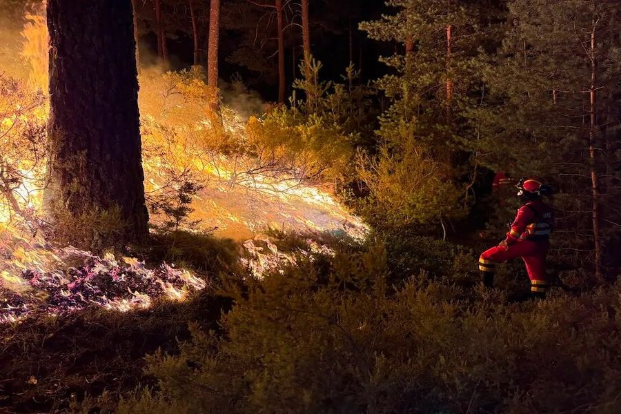 Feux de forêt en Espagne : Comment Madrid et l'Unité Militaire d'Urgence protègent la péninsule