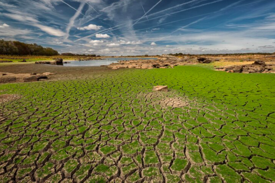 Sécheresse et monde agricole en France : Mutation des modèles de production face au défi hydrique