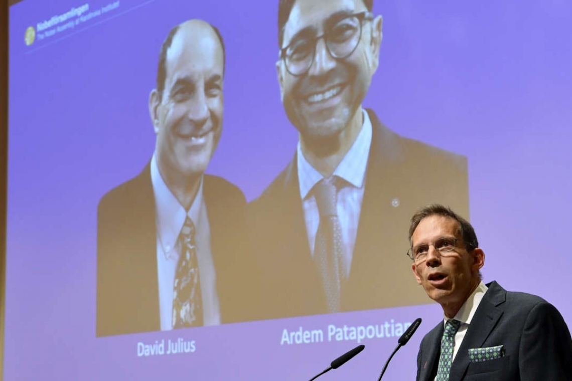 Prix Nobel de médecine : David Julius et Ardem Patapoutian au devant de la scène