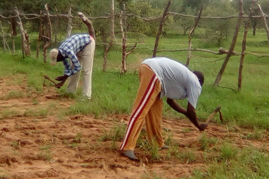 Nigéria : 600 millions de nairas en appui aux agriculteurs