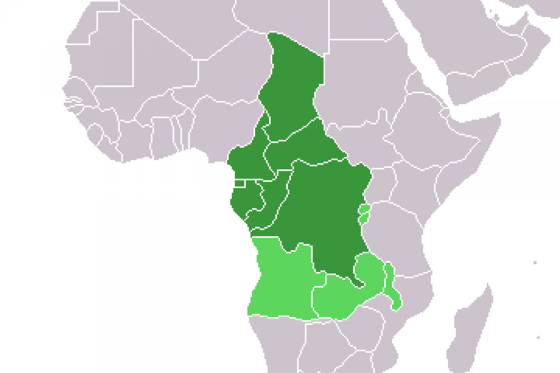 Afrique Centrale : De nouveaux instruments pour un marché commun dans la sous-région