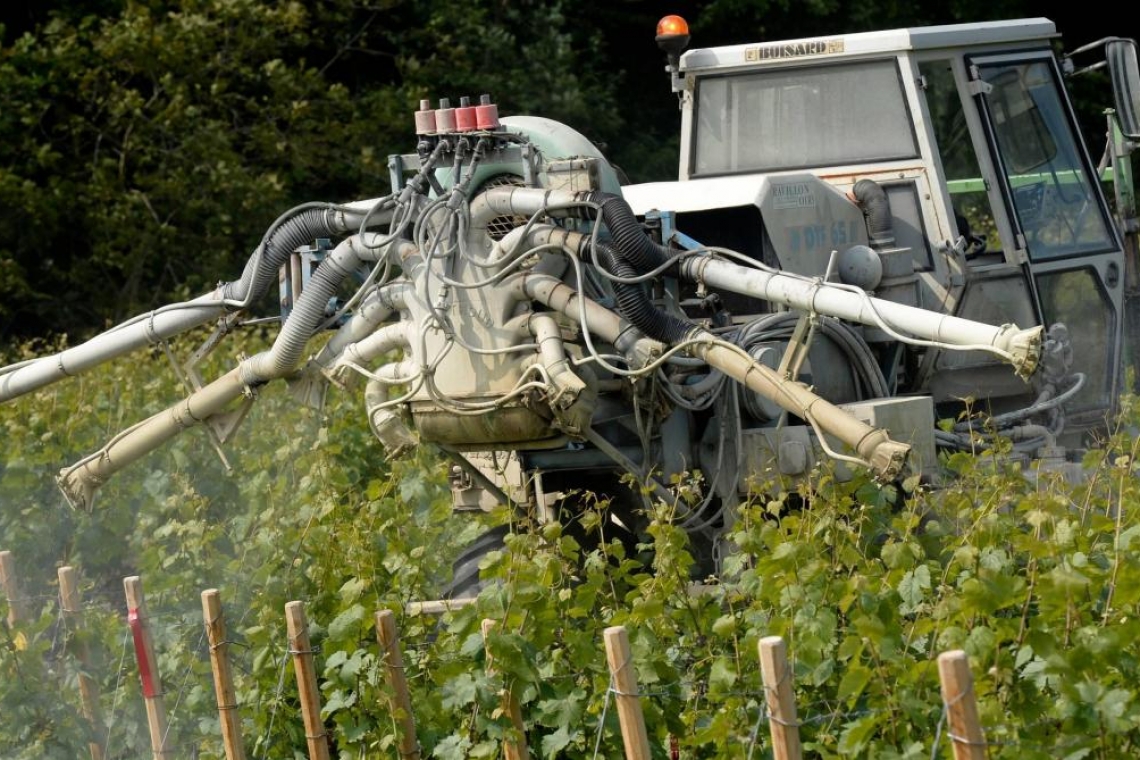 Pesticides : Une enquête pour déterminer l'exposition des personnes vivant à proximité des vignobles