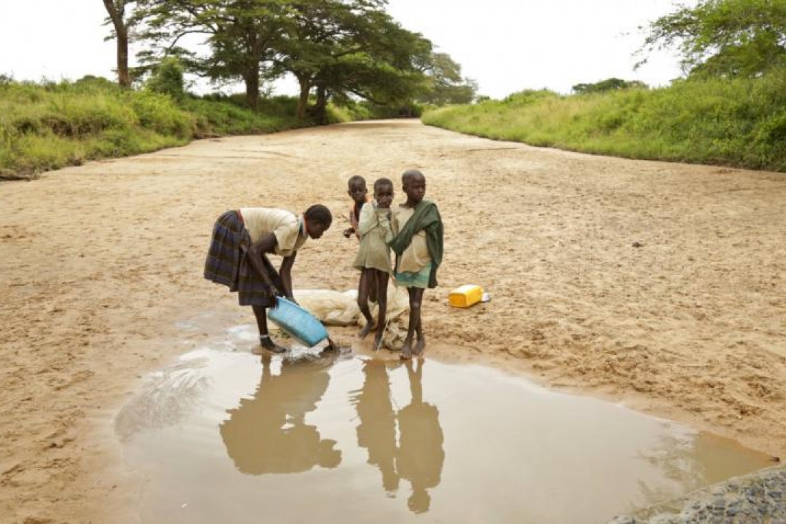 Réchauffement climatique : Près de 100 millions de personnes en danger en Afrique