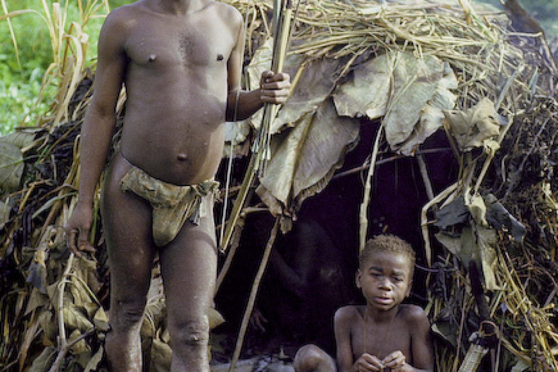 COP15 :  Les craintes des populations autochtones du Cameroun