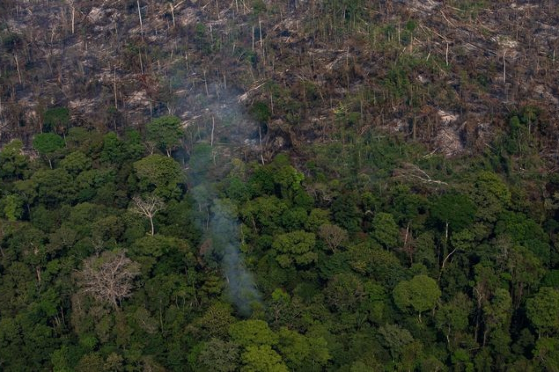 Brésil : Hausse considérable de la déforestation en Amazonie