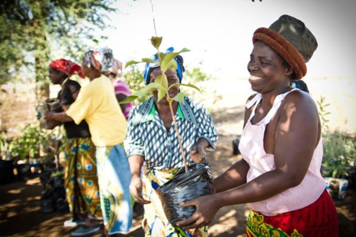 Zambie : Le gouvernement appelle à la promotion des produits locaux