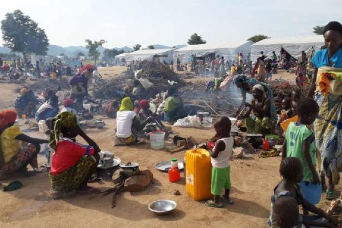 Nigeria : Des attaques armées forcent plus de 11 500 personnes à fuir vers le Niger en novembre