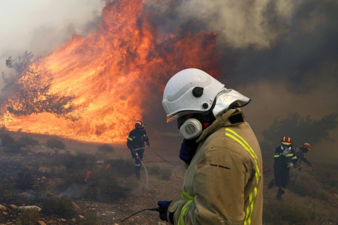 Grèce : Un important feu de forêt menace une grande oliveraie dans le centre du pays