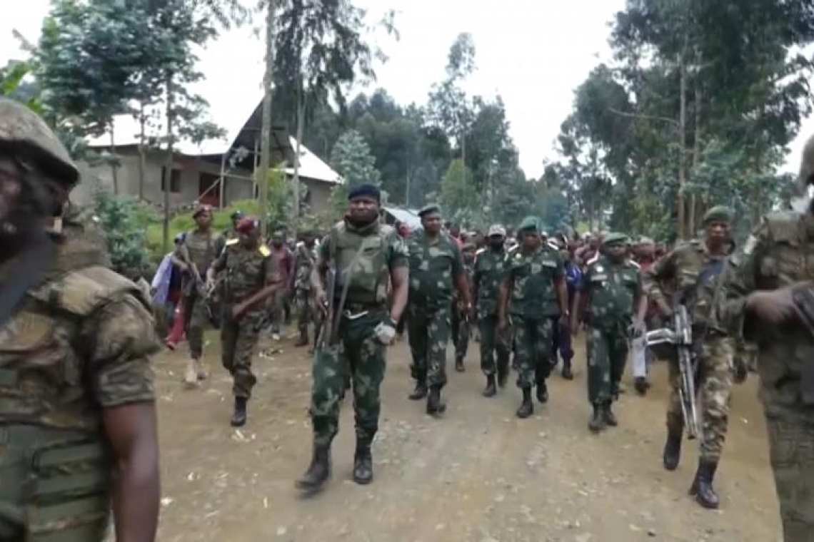 RDC : guerre dans une aire protégée, le pays appelle à la condamnation du Rwanda
