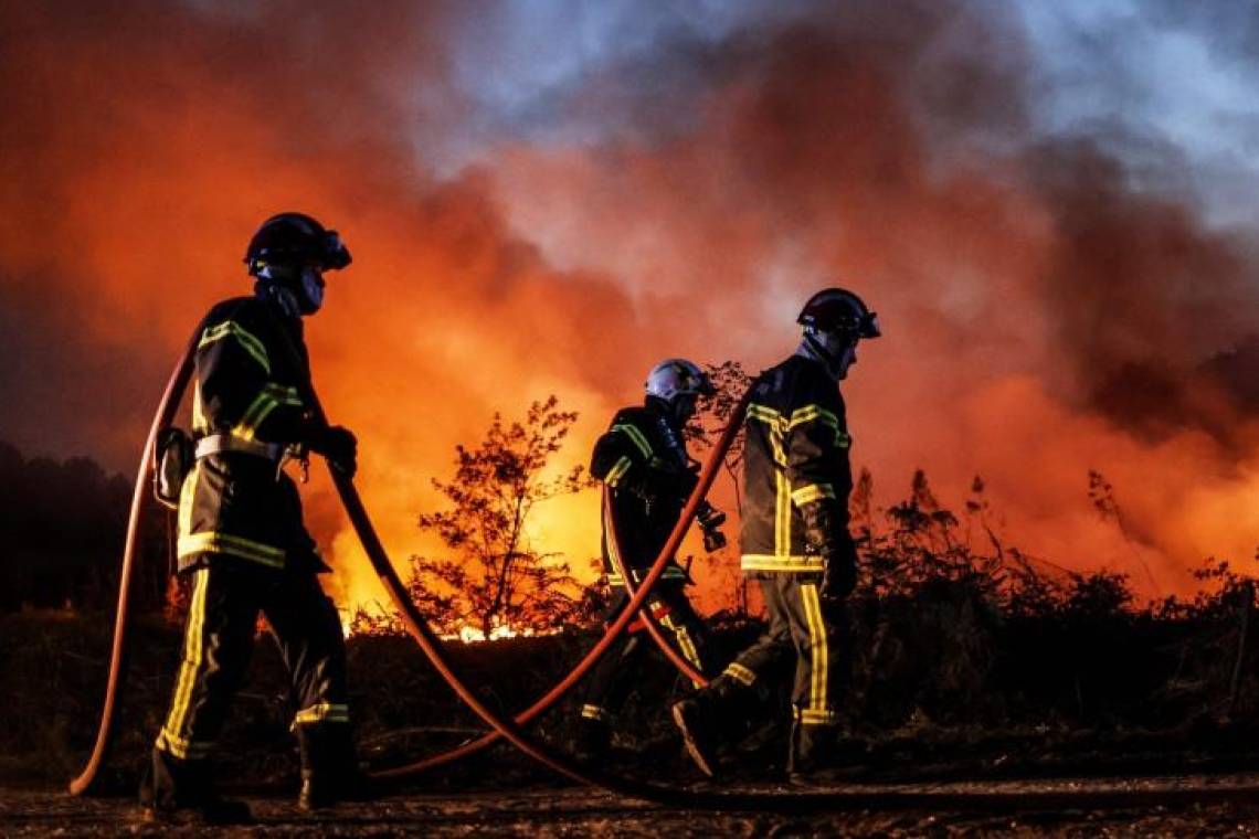 Feux de forêts en Europe : Plus de 660 000 hectares ravagés par les flammes selon l'EFFIS
