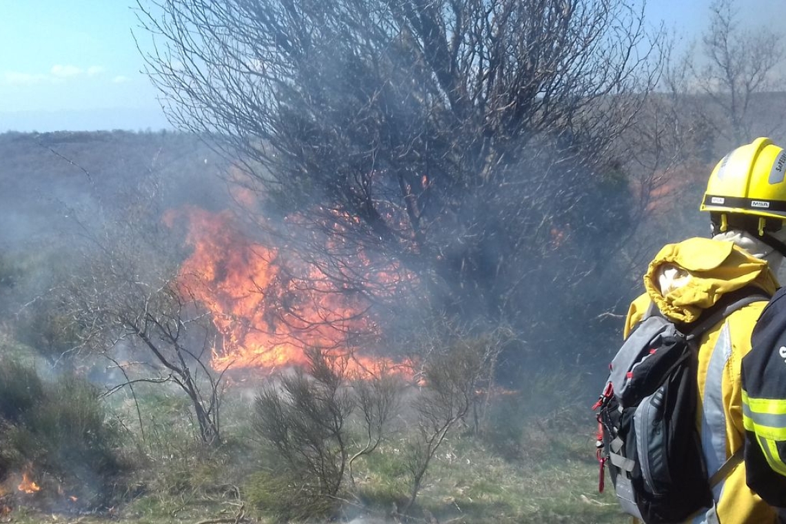 Maroc : Plus de 120 hectares de forêt brûlés dans le Nord