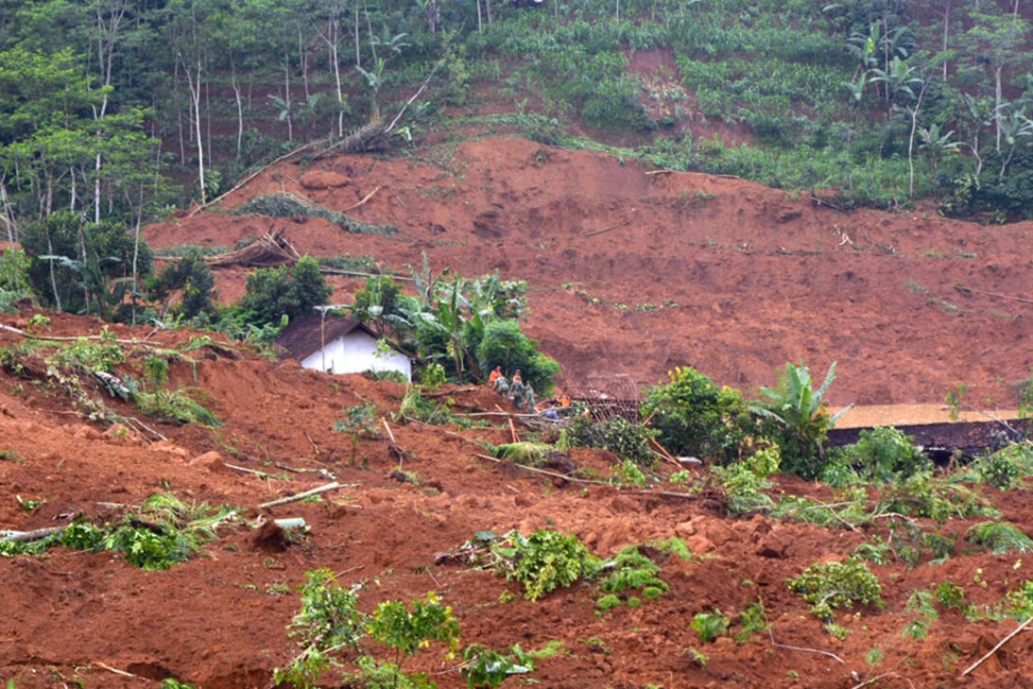 Indonésie : Plusieurs morts dans un glissement de terrain dans une mine d'or illégale