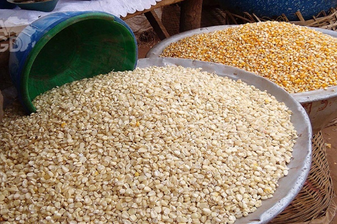 L’insécurité alimentaire en Afrique de l’Ouest nécessite une réponse adaptée au climat dans un contexte de crises