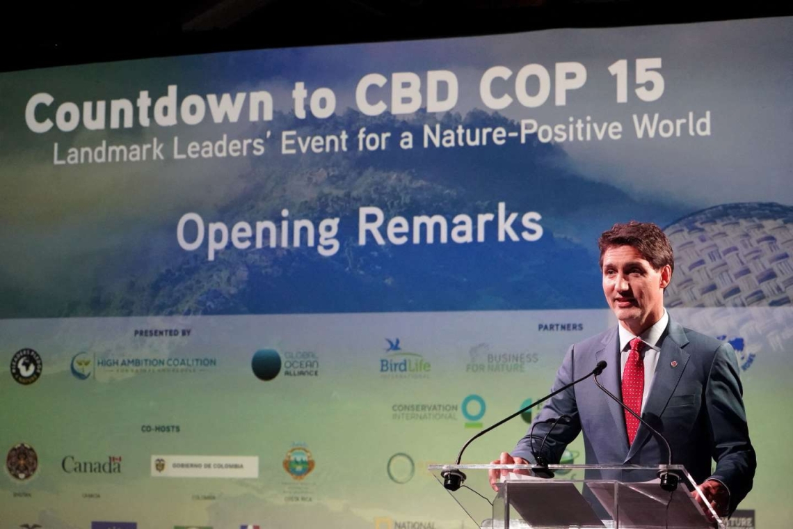 Biodiversité : Le Québec face à ses responsabilités avant la COP15