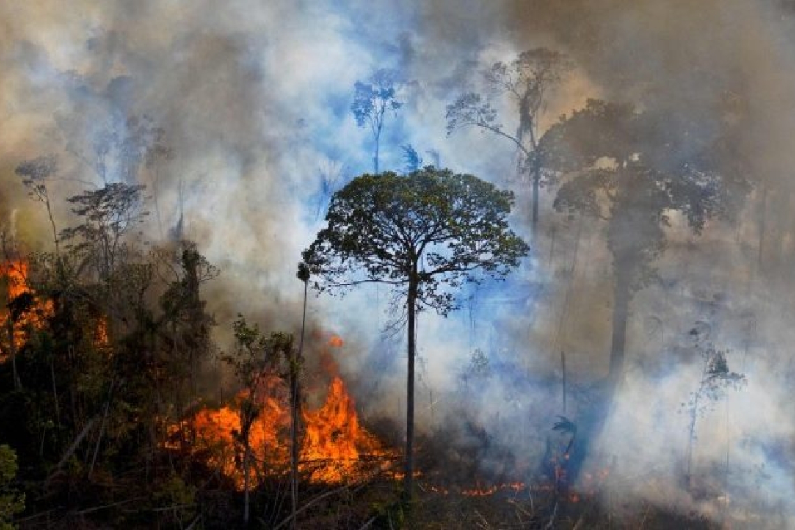 Des banques françaises accusées de financer la déforestation en Amazonie