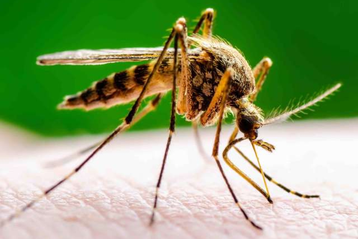Paludisme: la situation se stabilise, mais de nouveaux risques émergent, selon l'OMS