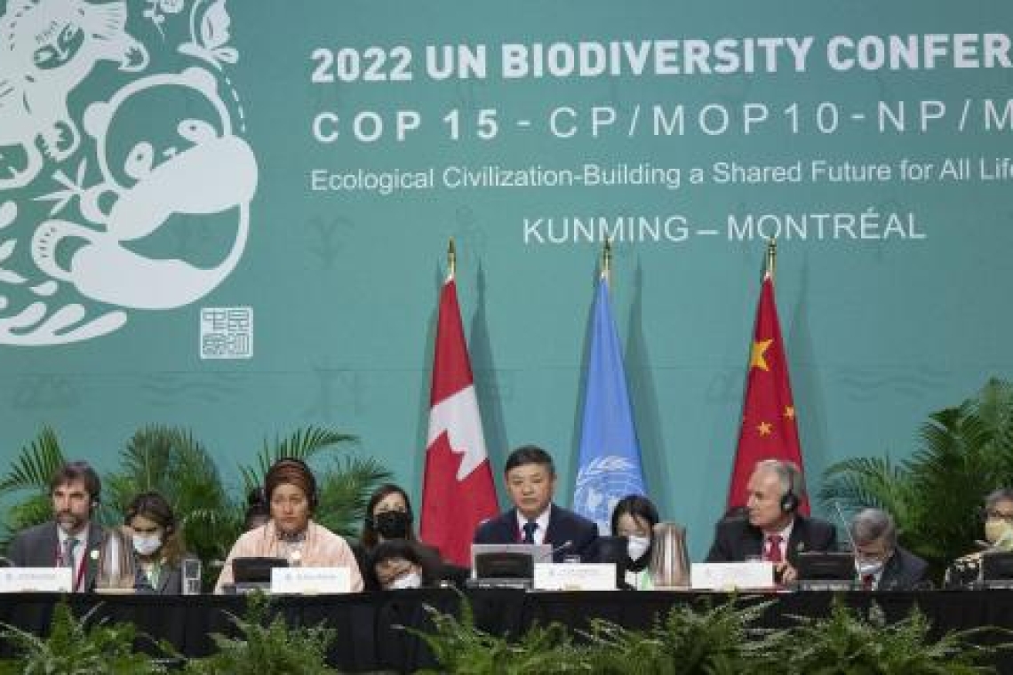 COP15 : le projet d'accord vise 20 milliards de dollars annuels d'aide internationale pour la biodiversité