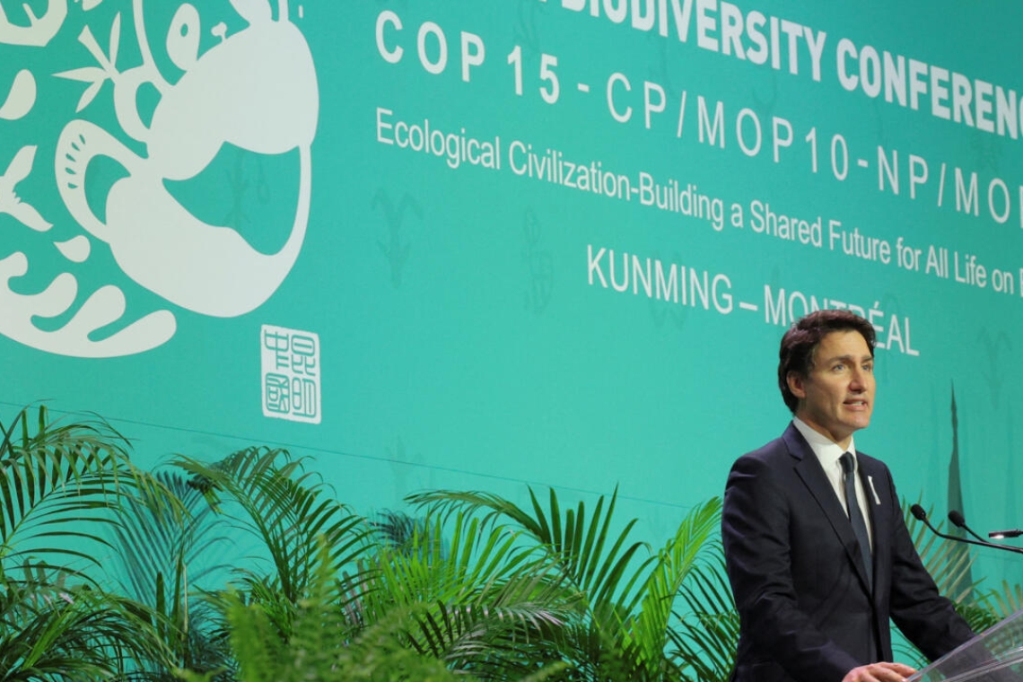 COP15 à Montréal : Un accord historique sur la biodiversité a été trouvé