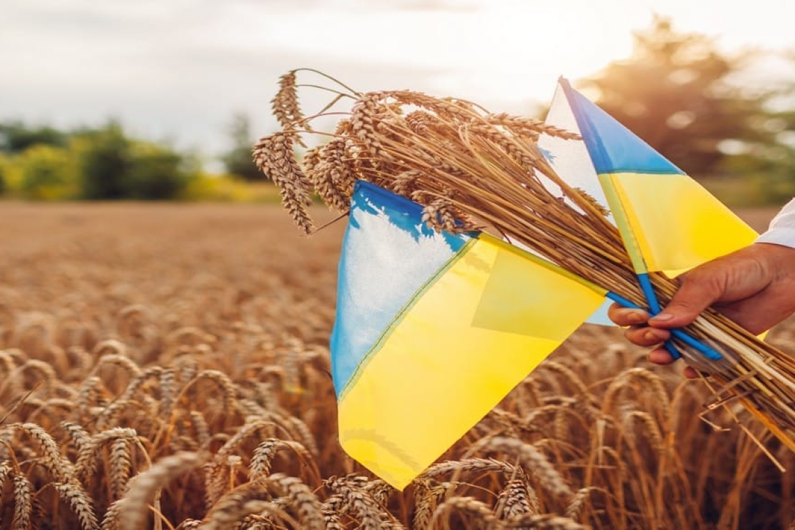 Les céréales ukrainiennes font bon marché en Europe