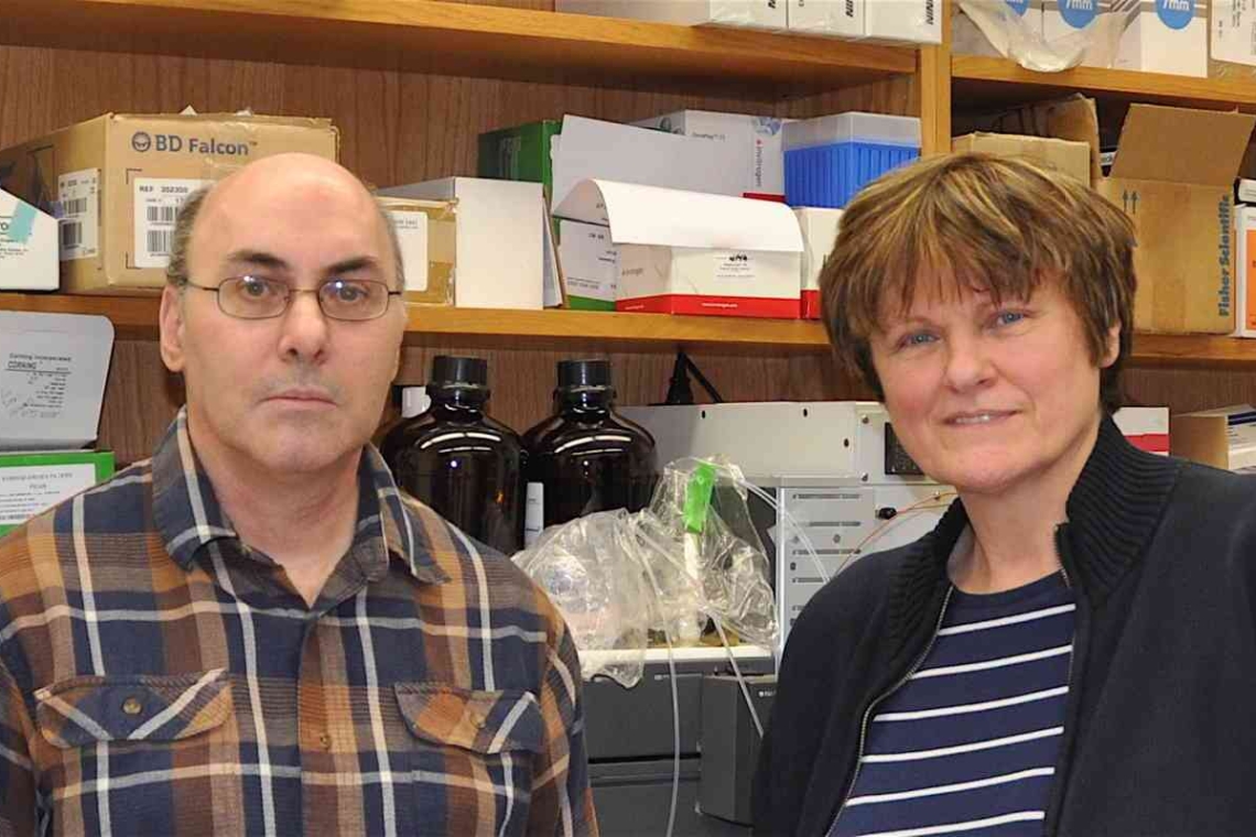 Katalin Kariko et Drew Weissam remportent le prix Nobel de médecine 2023