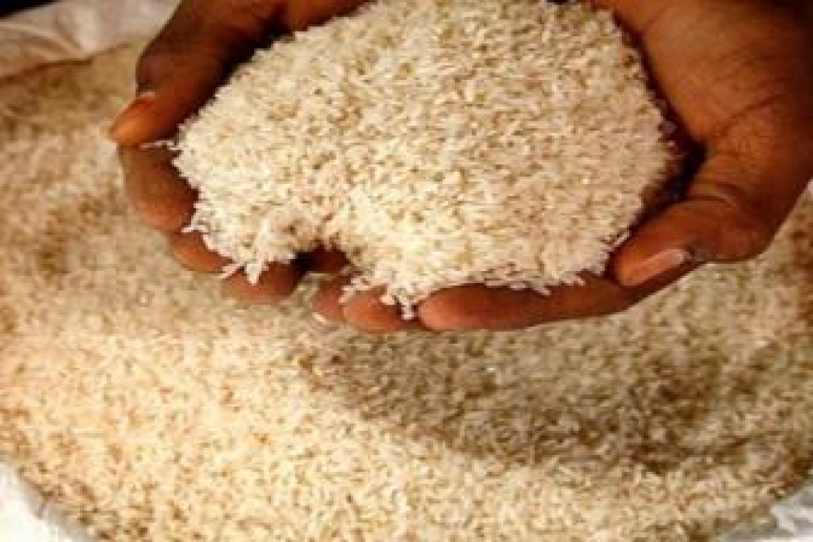 475 000 tonnes de riz en provenance de l’inde pour le Cameroun, la côte d’ivoire et la guinée