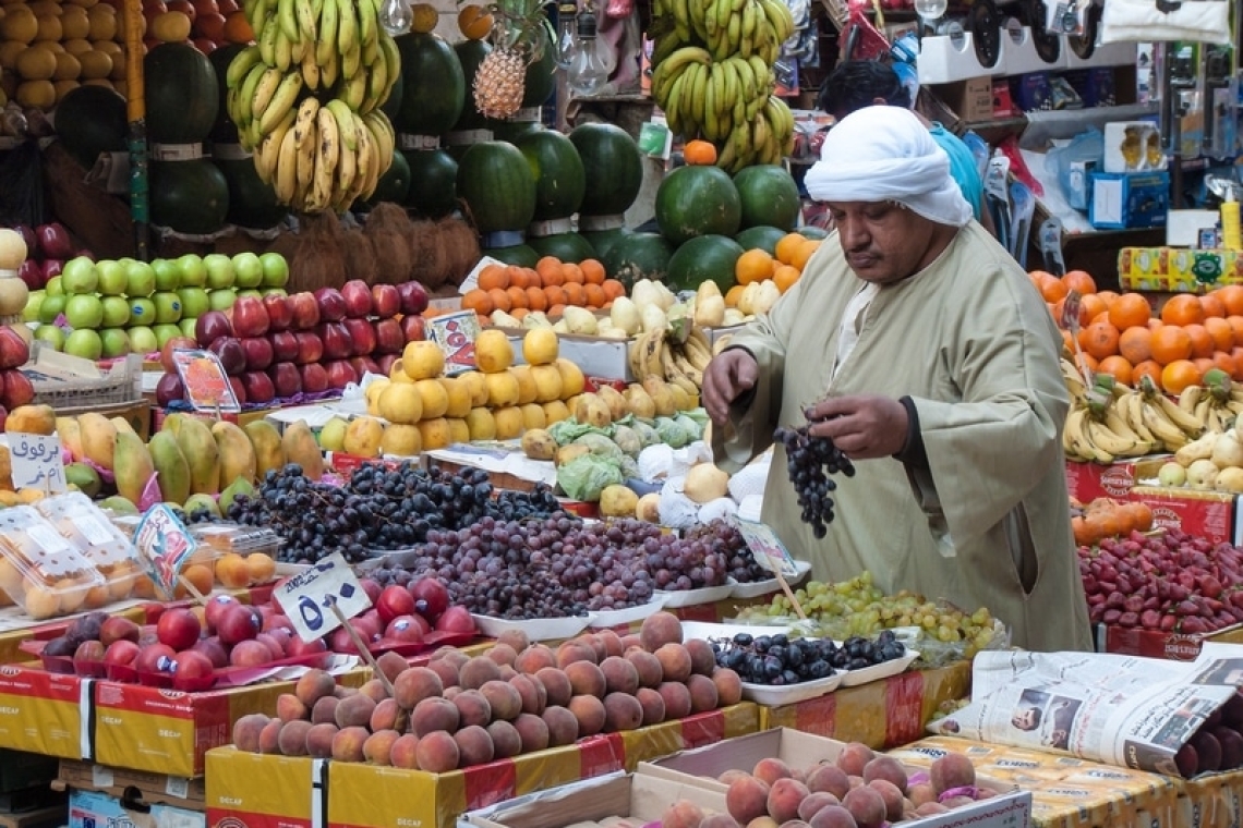 L'Égypte prévoit d'exporter 2,3 millions de tonnes d'agrumes
