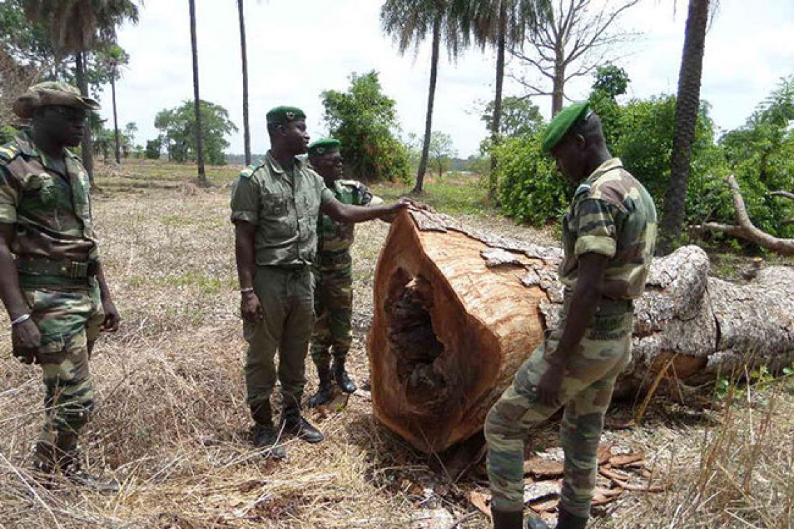Le Cameroun établit des points de commerce à la frontière avec le Nigeria afin de lutter contre le trafic illicite