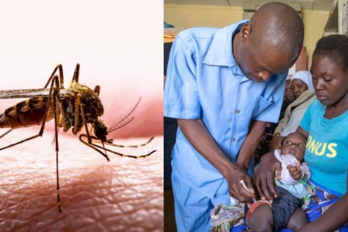 Lutte contre le paludisme : Le Cameroun lance sa première phase de vaccination systématique