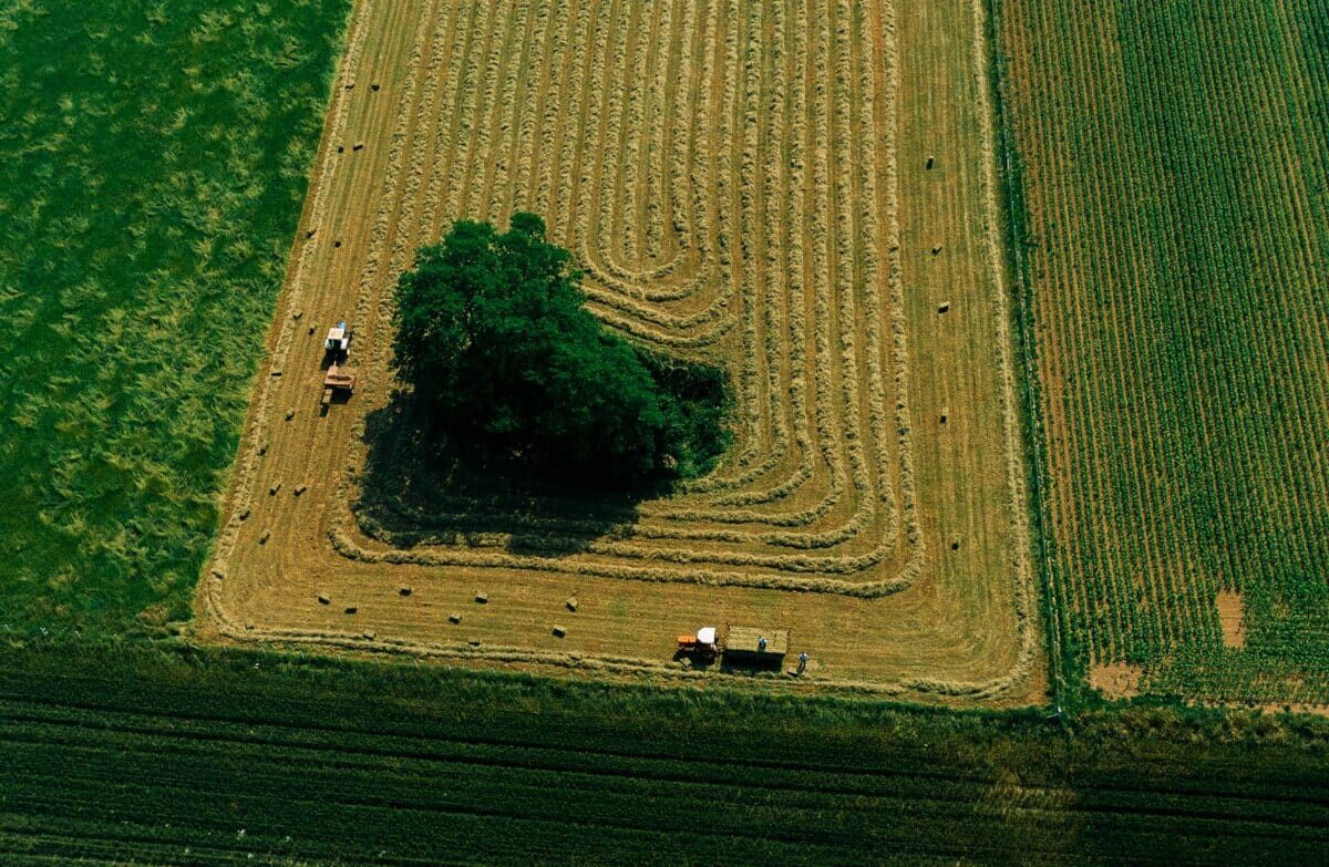 Ambiance agricole - Récolte des foins, Eure, Normandie