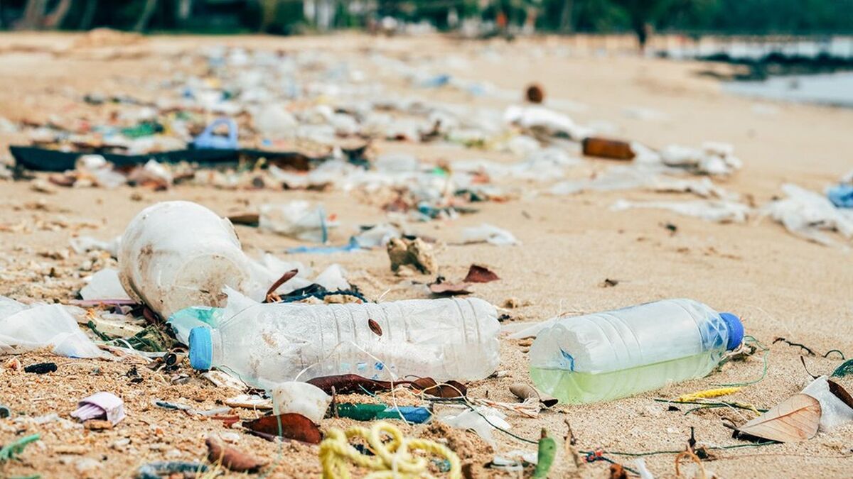 Pollutions and garbages on the beach