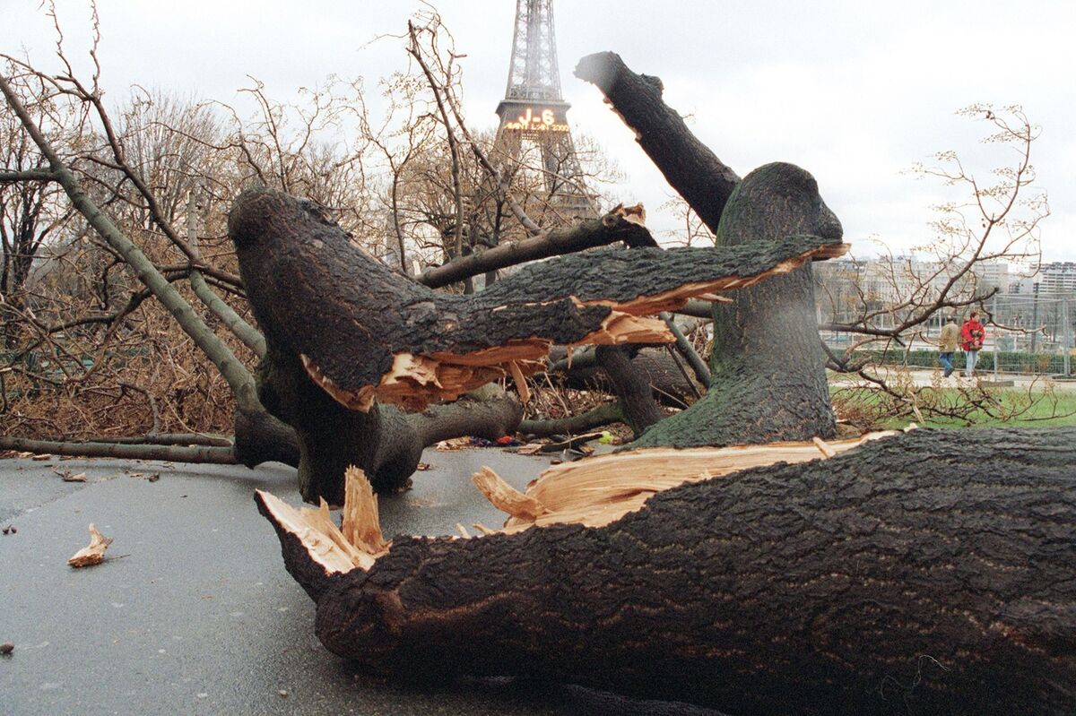 En-decembre-1999-la-France-meurtrie-par-la-tempete-du-siecle.jpg