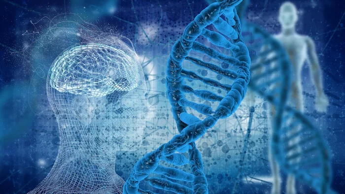 genome-genetique-humain-adn.webp
