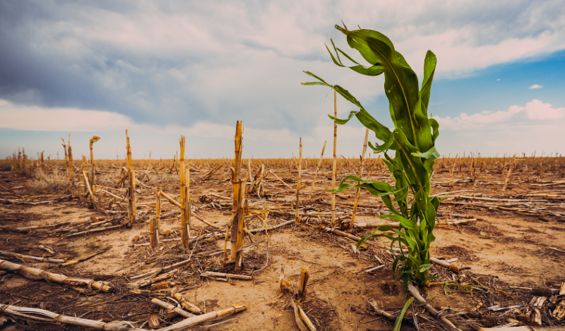 Smith_Climate_Ag_4.12.png