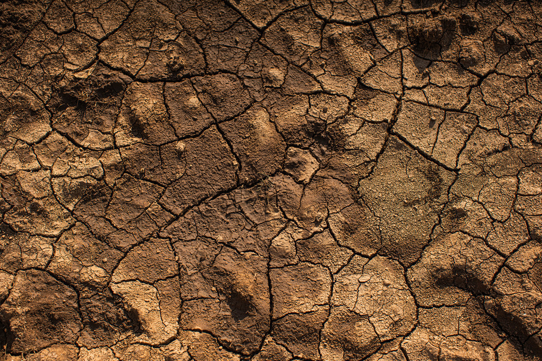 Drought in Somali Region of Ethiopia. Intermon images with English translations.