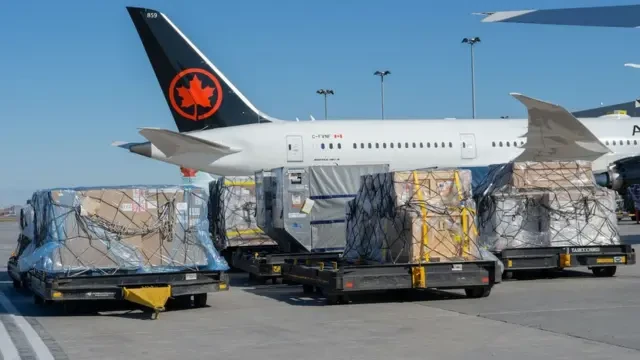 _118677439_air.canada.cargo-9862.jpg.webp