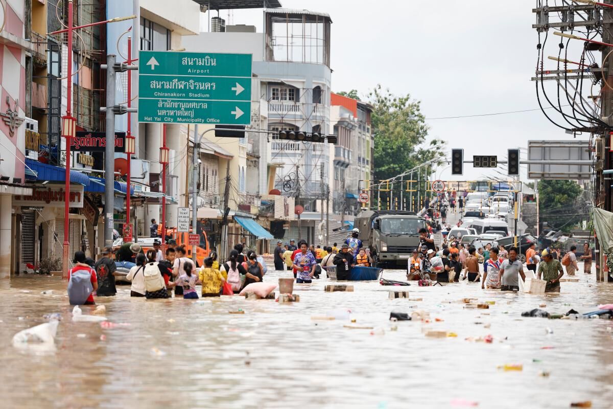 AP25331292131919_1.jpg