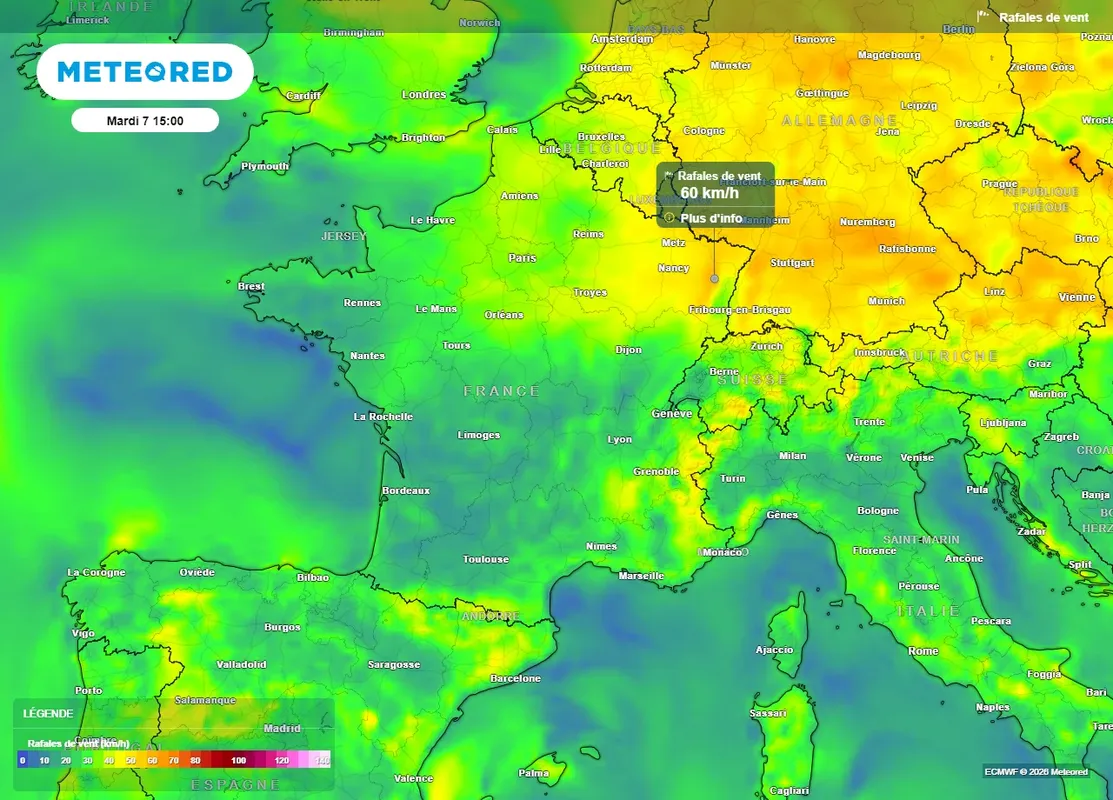 canicule-7-departements-en-vigilance-rouge-pour-risque-d-incendies-decouvrez-les-regions-les-plus-menacees-1783329877325_1280.webp