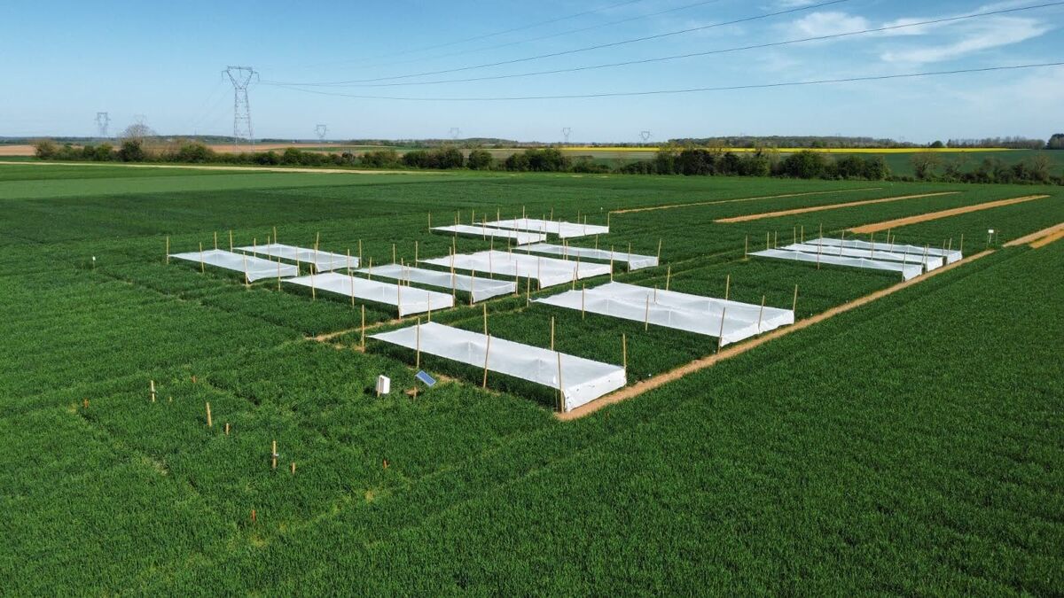 technologies-agricoles-1.jpg