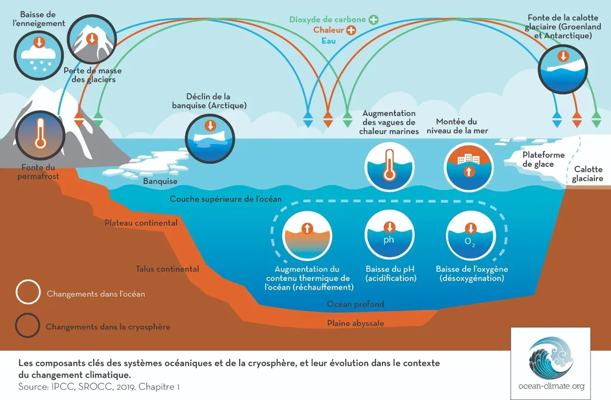 Composants-cles-de-locean-et-de-la-cryosphere-FR.webp