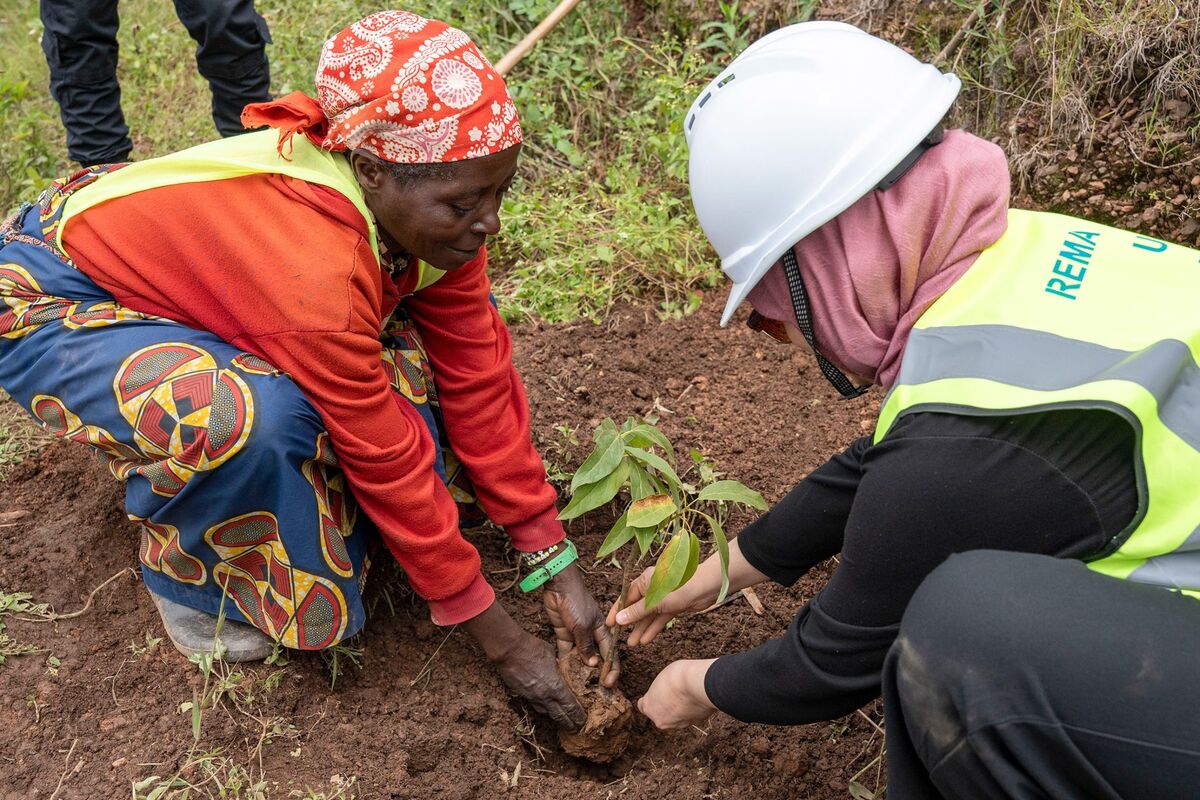Tree-Planting-in-the-IDP-Model-Village-in-Gakenke_Credit-Uwase-Constantin-UNDP-Rwanda-2400x1600.jpg