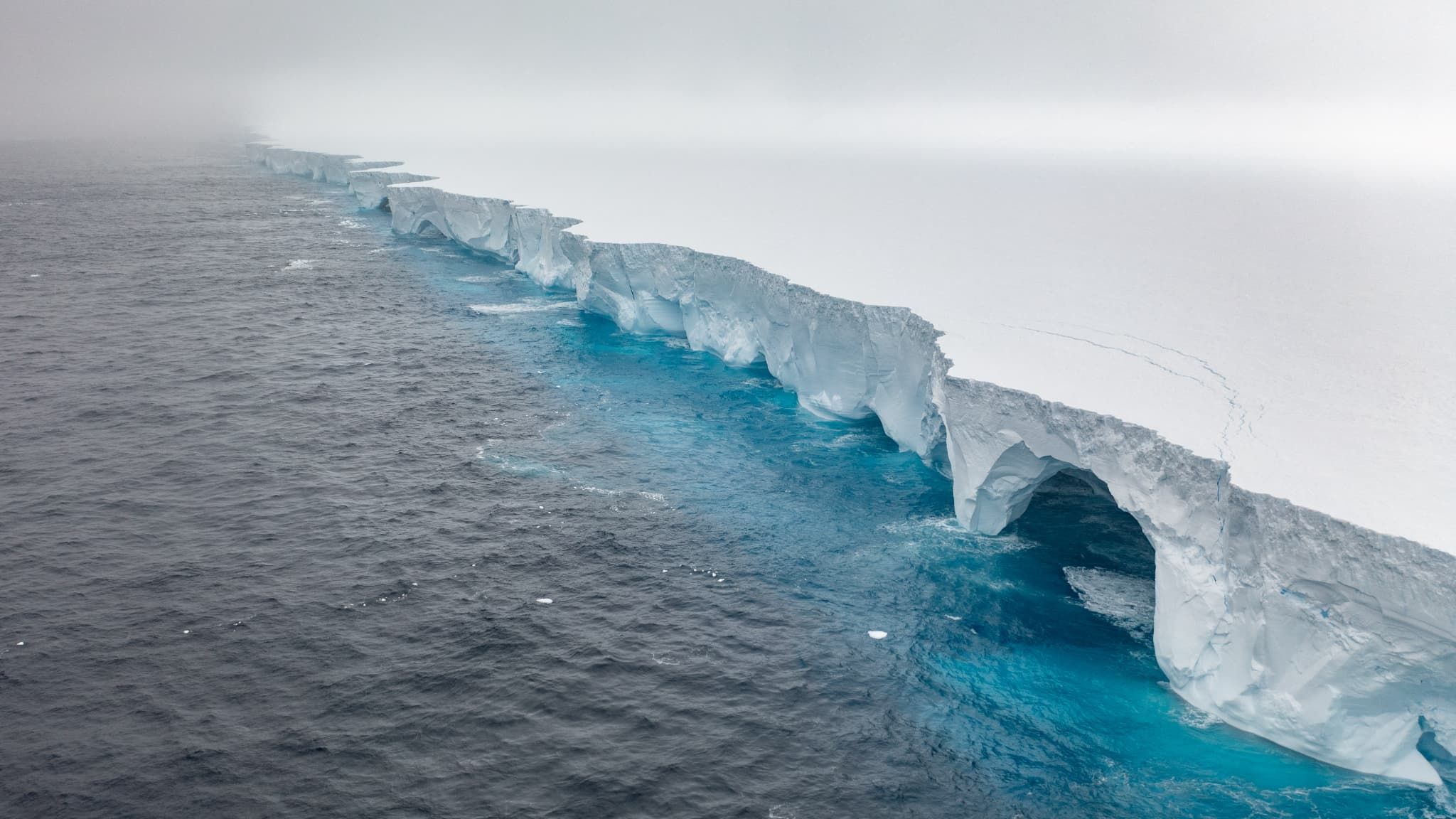 Antarctique : Un iceberg géant menace la faune de Géorgie du Sud