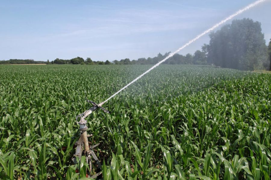 France : la pénurie d’eau menace l’agriculture, des récoltes 2025 déjà compromises