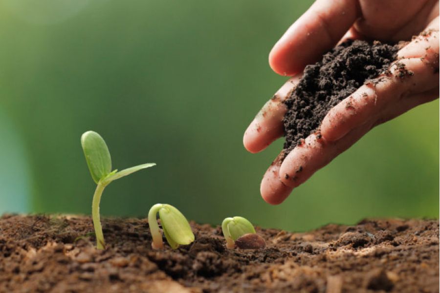 Agriculture durable et transition écologique dans l'UE en 2026 : Négociations sur la PAC et la souveraineté alimentaire