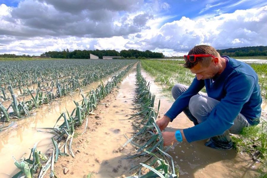 France – Impact des orages de grêle sur les récoltes et l’économie agricole
