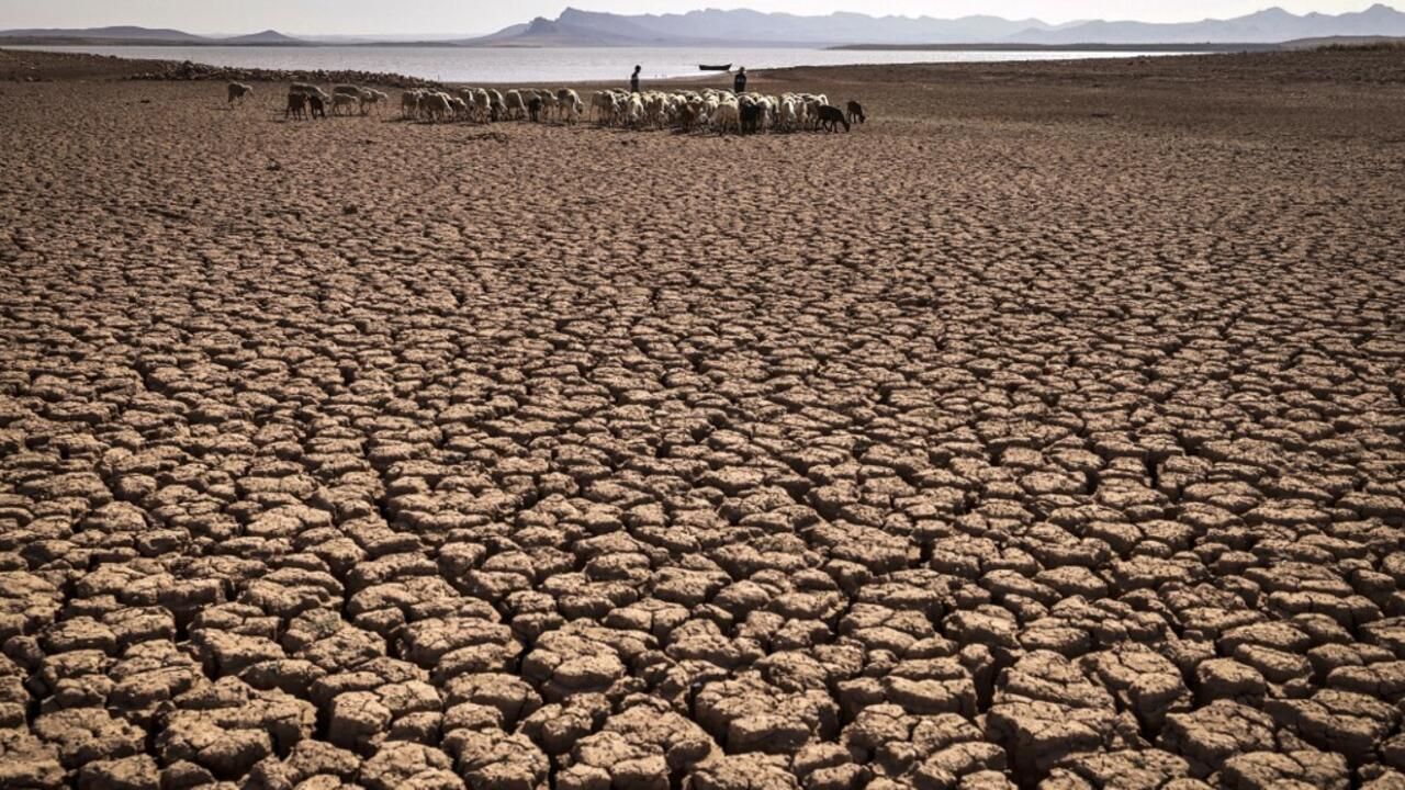 Sécheresses et Crise de l’Eau : Le WWF Alerte sur notre Consommation Invisible