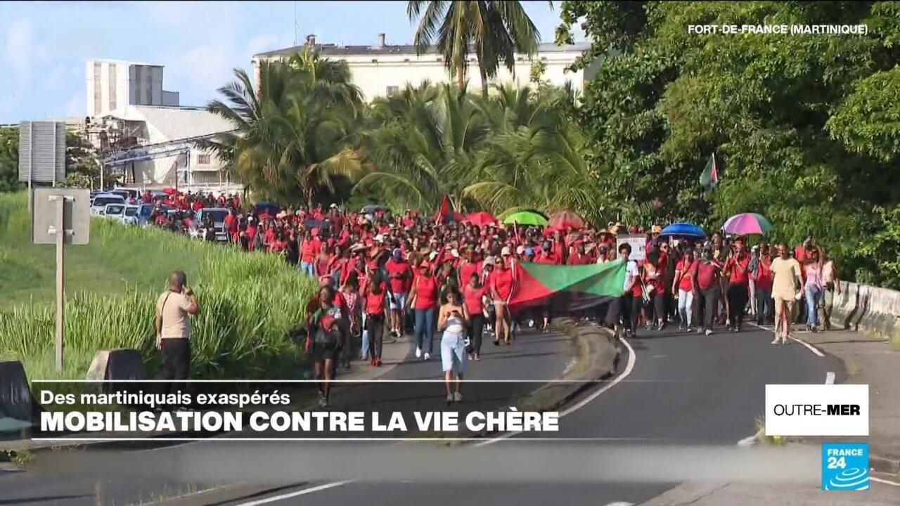 Martinique : Incarcération du leader anti-vie chère - Analyse des tensions sociales dans les territoires d'outre-mer