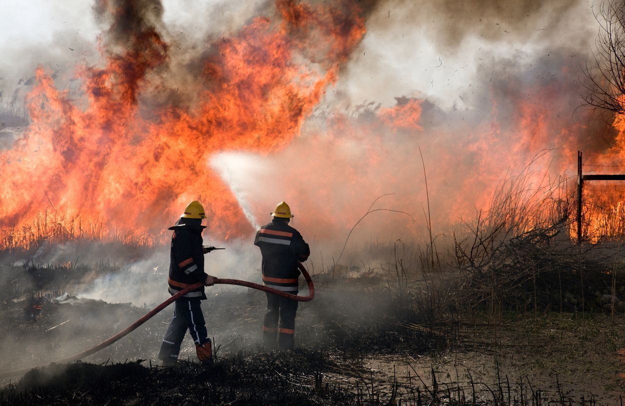 Forêts d’Europe brûlées : quand le réchauffement climatique sème la panique rurale