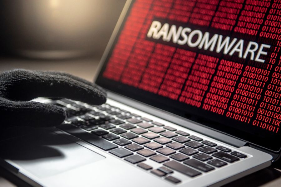 Sécurité Numérique : 2,5 Millions de Comptes Volés par le Ransomware 'Phœnix' Vise les TPE/PME Européennes