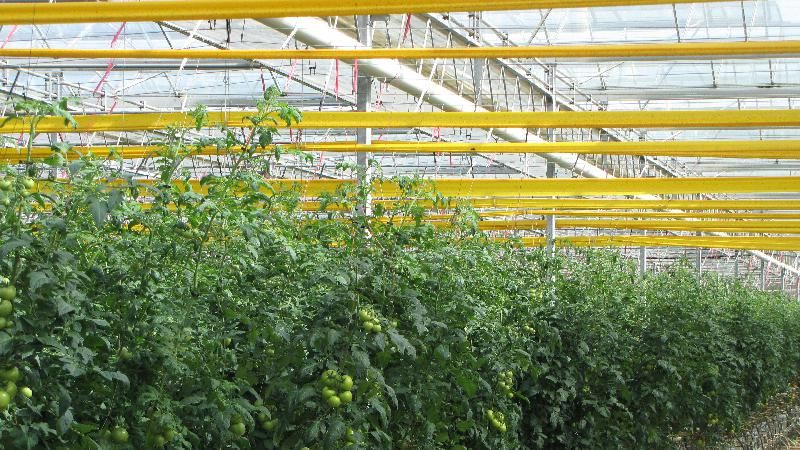 DOSSIER OMONDO 1 : LE PIÈGE DE LA CONSERVATION SÉLECTIVE